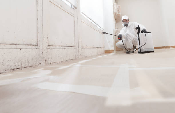 24/7 Emergency Mold Inspection experts in Manassas, VA